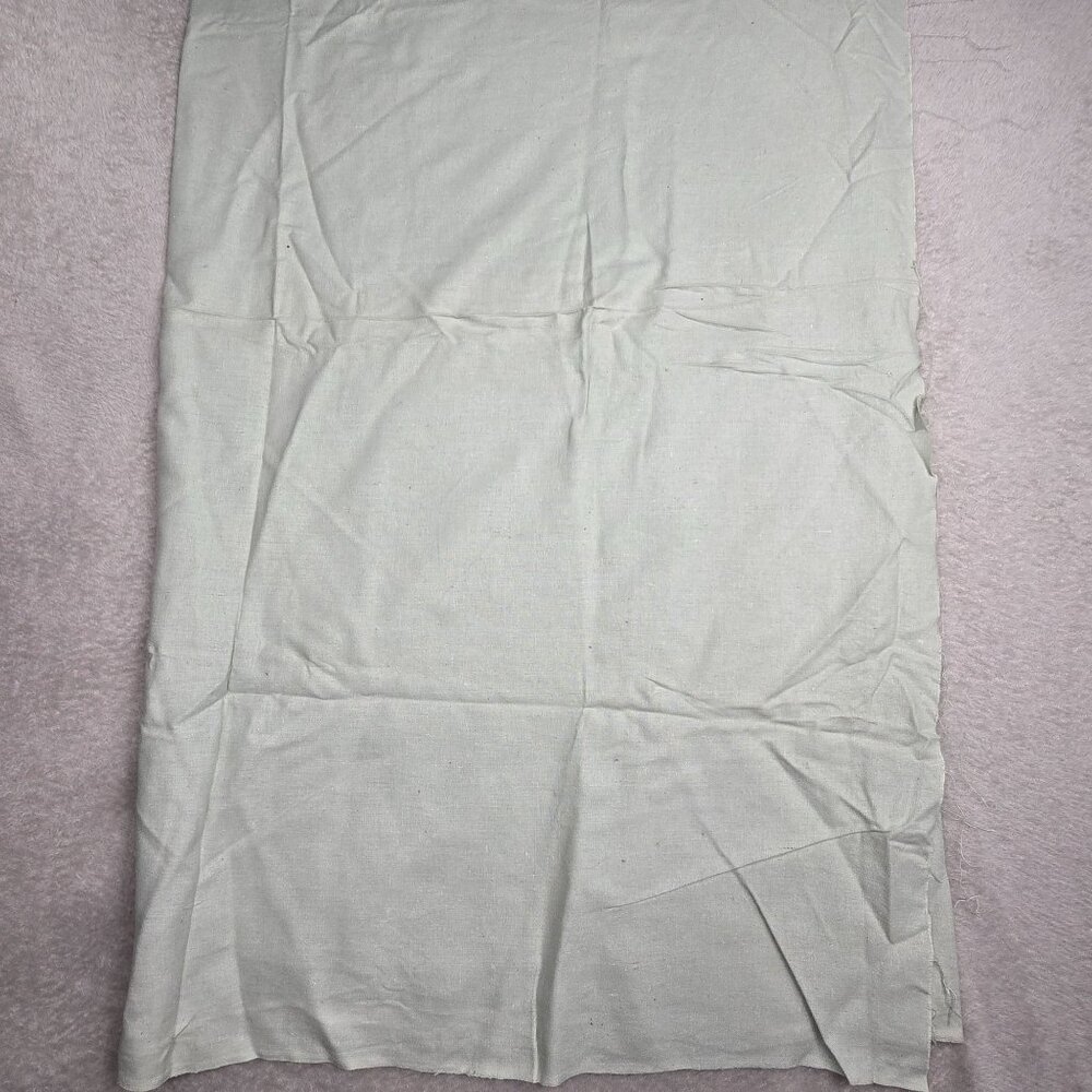 Vintage Fabric Remnant Light Green Cotton 44 x 90 Crafting Sewing Material
